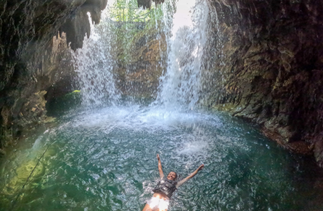 carrossel5